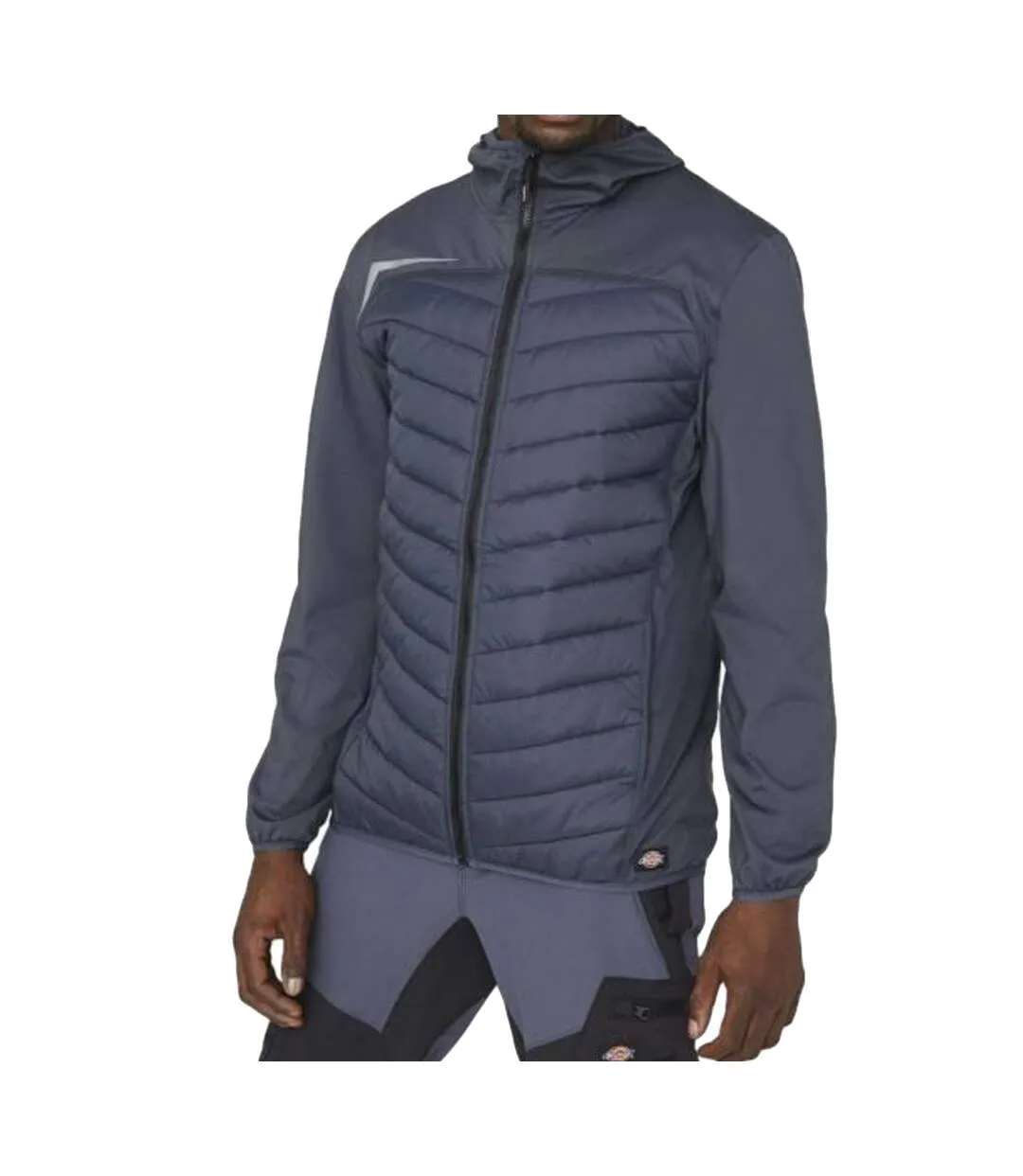 Veste Grise Homme Dickies Gen Hybrid